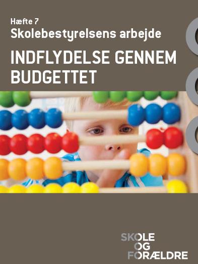 Indflydelse gennem budgettet