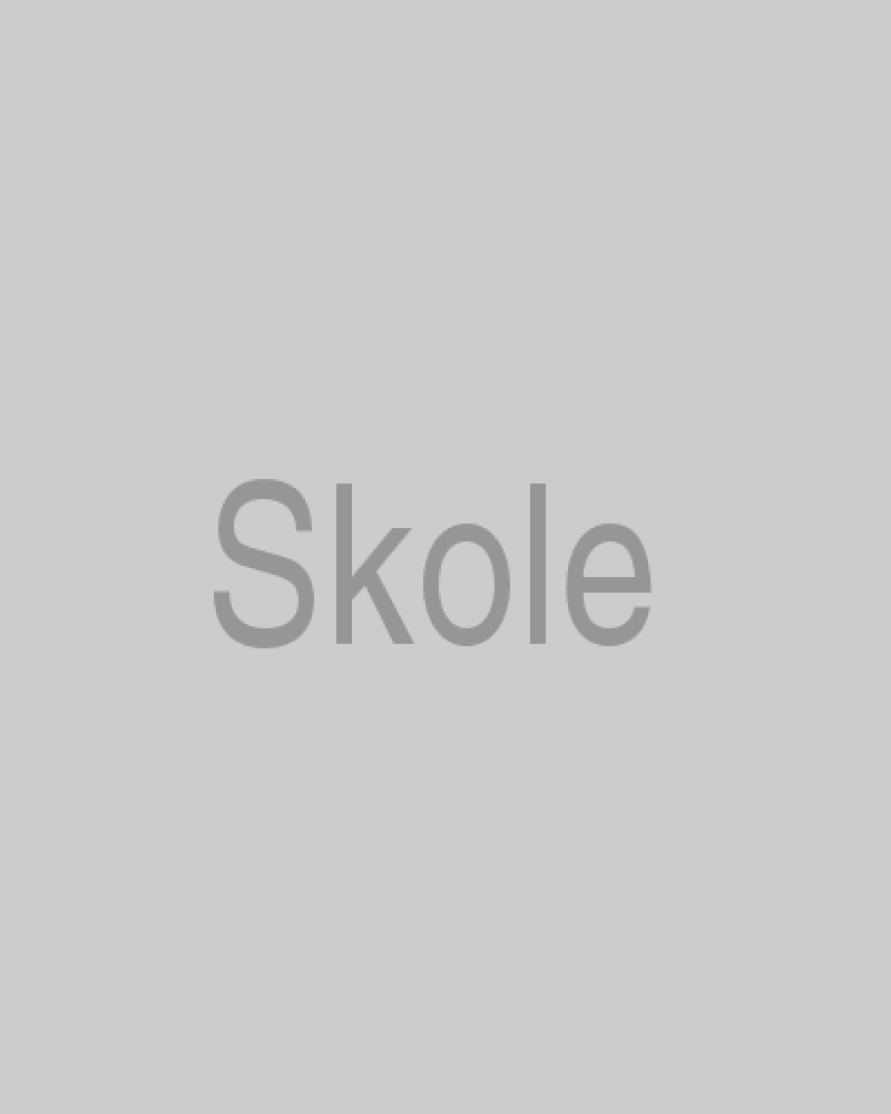 Billede
